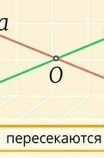 Параллельные и перпендикулярные прямыеэту тему я не понила можите обеснить 6 класс ​