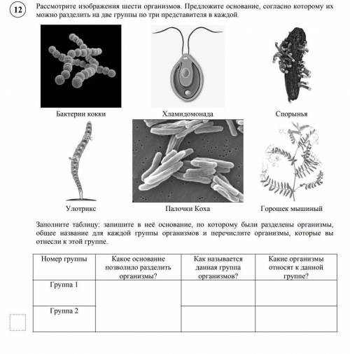 Рассмотрите изображения шести организмов. Предложите основание, согласно которому их можно разделить