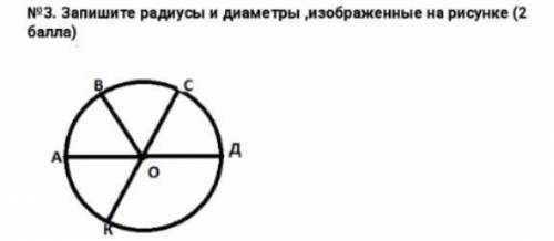 Запиши радиусы и диаметры, изображённые на рисунке ​