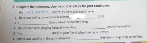 3 Complete the sentences. Use the past simple or the past continuous.​