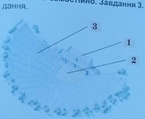 Працюймо самостійно. Завдання 3. Роздивіться ілюстрації та виконайте зав- дання.3121. Визначте відпо