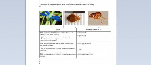 .Подпишите названия организмов, используя определительную карточку