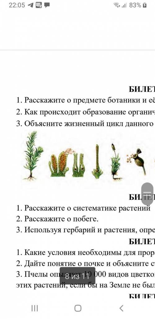 Обьясните жизненый цикл данного растении?