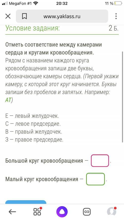 Выполните задания подробно как в яклассе