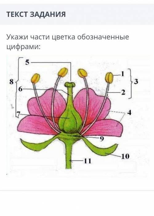 очень надо сор по биологии ​