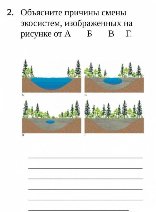 Объясните причины смены экосистем, изображенных на рисунке от А Б В Г ​