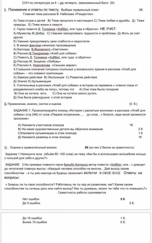 СОЧ по русской литературе 7 класс 4 четверть​