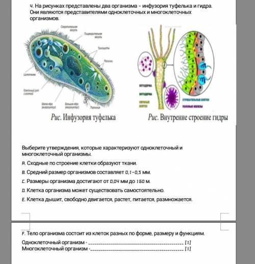 ￼ ч. На рисунках представлены два организма - инфузория игидра Они представителями одноклеточных и м