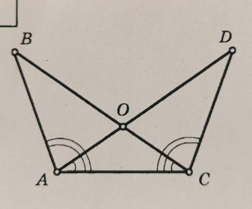 Докажите что углы равны :)​