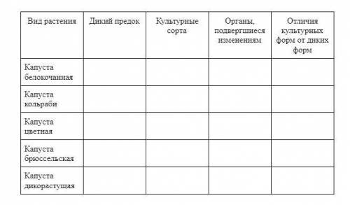 Рассмотрите рисунки дикой формы и культурных сортов капусты. Найдите черты сходства и различия между