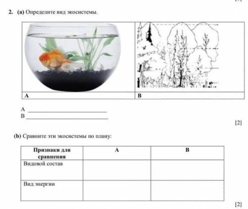 Определите вид экосистемы сравните эти экосистемы по плану​