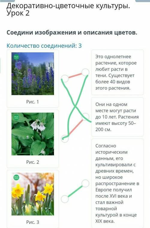 X Декоративно-цветочные культуры. Урок 2Вставь пропущенное слово.Как цветы различаются по красоте, т