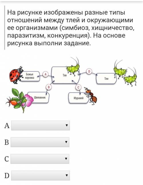 На рисунке изображены разные типы отношений между тлей и окружающими ее организмами (симбиоз, хищнич