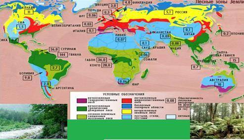 По карте «Лесные зоны мира», определите: a) На каких два пояса делят лесные ресурсы мира? b) Какие с