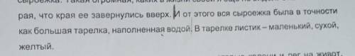 Синтаксический разбор От буквы И быстрее 5 минут​