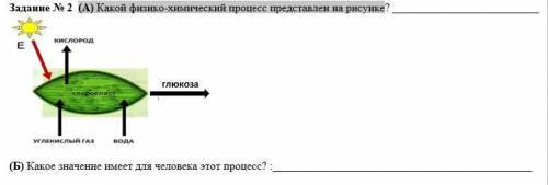 (А) Какой физико-химический процесс представлен на рисунке? (Б) Какое значение имеет для человека э