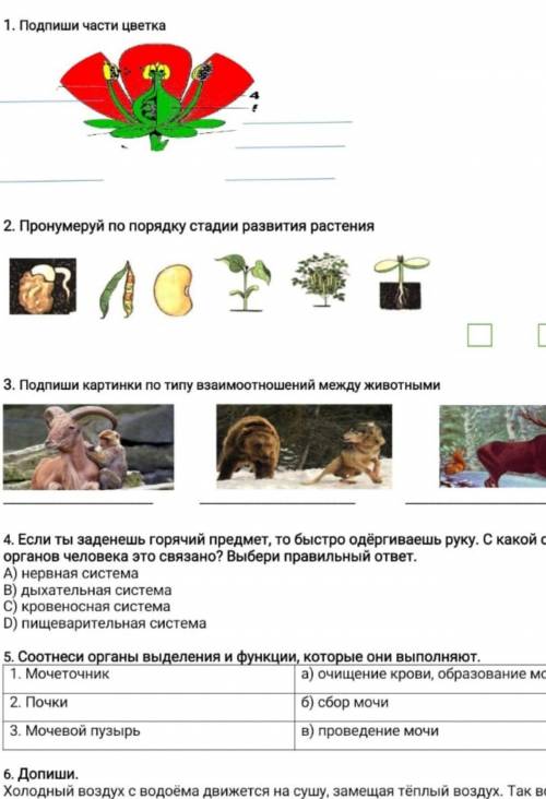 3 страницы ща ищо отправлю тест по есте​