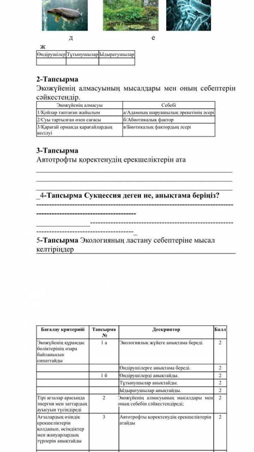 Задача 2 Примеры обмена экосистемами и его причины идентифицировать. Экосистемный обмен 1 / Пастбище