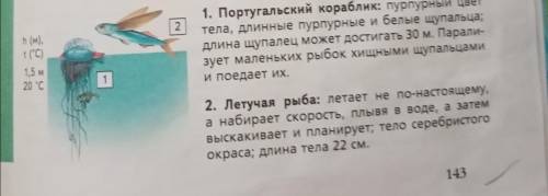 Составить кроссворд (не менее 10 слов) из названий морских животных (с.143-145). География Летягин