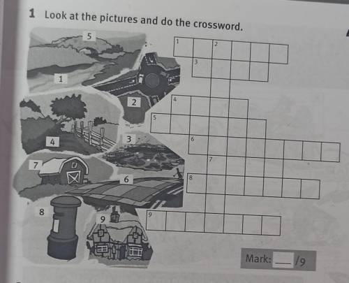 1 Look at the pictures and do the crossword. 4512314256NIJE347868Mark:19​