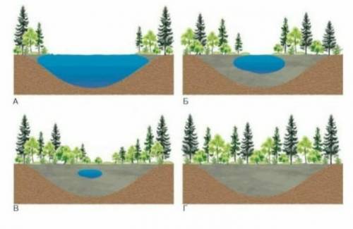 2. Обьясните причины смены экосистем, изображенных на рисунке от А-Б-В-Г. Подпишусь и лайкну все отв