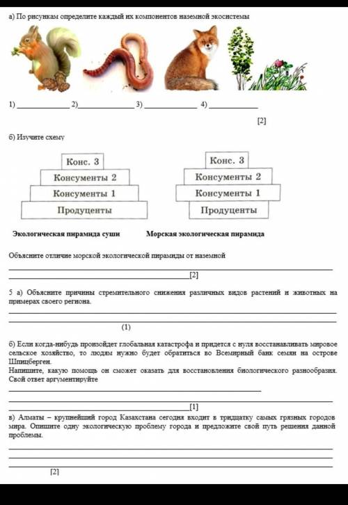 Биология соч 8 класс 4 четверть​