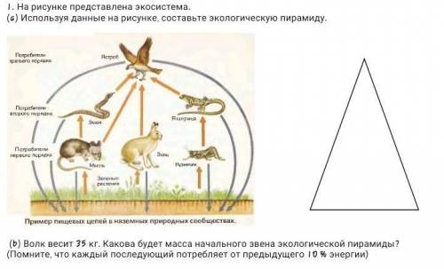 Задания 1. На рисунке представлена экосистема. (a) Используя данные на рисунке, составьте экологичес