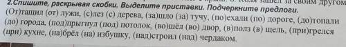 2.Спишите, раскрывая скобки. Выделите приставки. Подчеркните предлоги. (От)тащил (от) лужи, (с)лез (