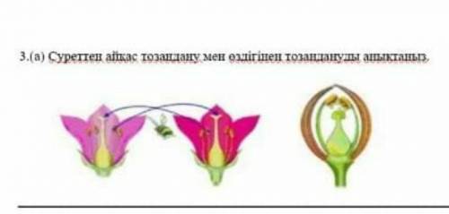 Суреттен айқас тозандану мен оздігінен тозандануды аныктаныз ​