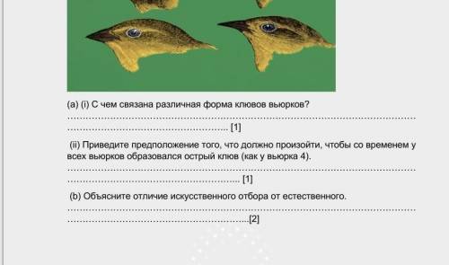 Вот та атоккоелелй.елб11щб2бз6бщ​