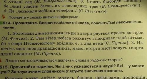 514. Прочитайте. Визначте діалектні слова, поясніть їхні лексичні зна- чення.1. Золотими джмеликами