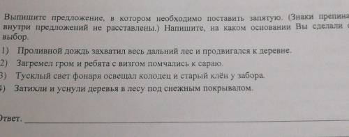 , в каком предложении надо поставить запятую, на каком основании вы сделали выбор❤️​