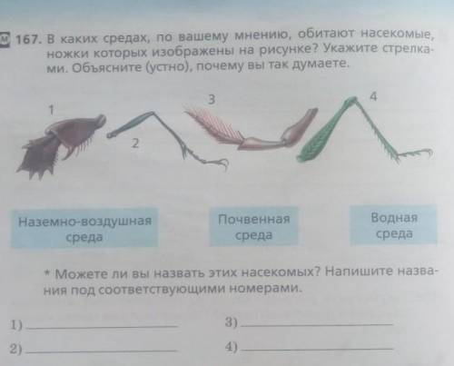 БИОЛОГИЯ. 5 классРабочая тетрадь стр 74 упр 167.В каких средах, по вашему мнению, обитают насекомые,