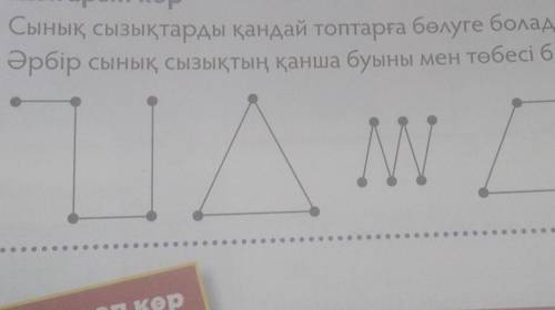 Сынык сызыктарды кандай топтарга бодуге болалы? Әрбир сынык сызыктарды канша буыны мен тобеси бар? ​