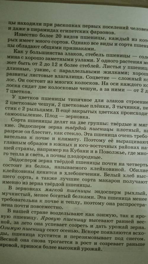 Нужен конспект по биологи про пшеницу 6 класс​