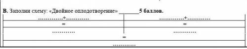 Заполни схему:«Двойное оплодотворение», ​