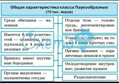 Заполнить таблицу Отряды млекопитающих ( места обитания, особенности строения, представители скоре