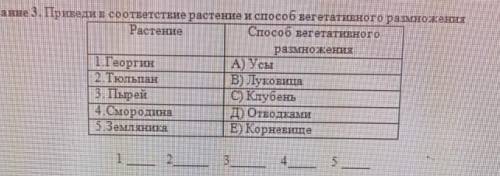 Заданне 3. Приведи в соответствие растение и вегетативного размножкения Растение вегетативного размн