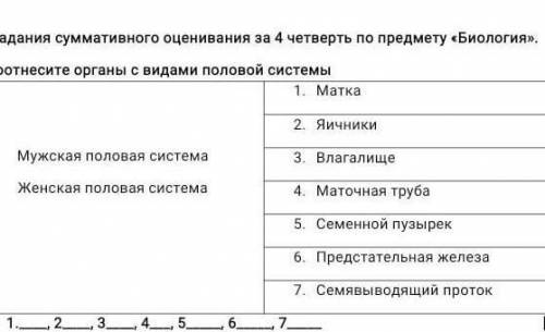 Соотнесите органы с видами половой системы​