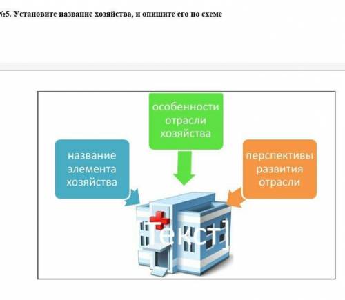 №5. Установите название хозяйства, и опишите его по схеме  ​