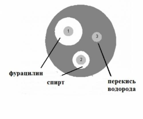 НАДО Задание 3. Рассмотрите рисунок. Определите и опишите самое эффективное средство борьбы с бактер