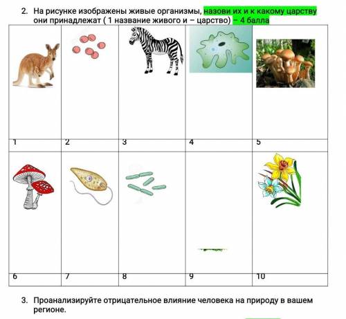 На рисунке изображены живые организмы, назови их и к какому царству они принадлежат ( 1 название жив