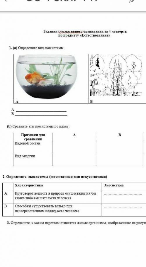 Соч по естествознанию1 2 задание​