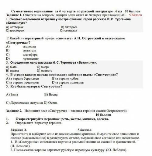 по русской литературе СОЧ ​