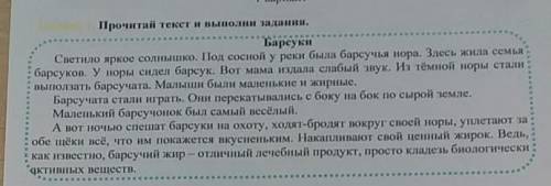 Прочитай Выполни задание барсуки светило яркое солнышко под сосною реки была барсучья Нора Здесь жил