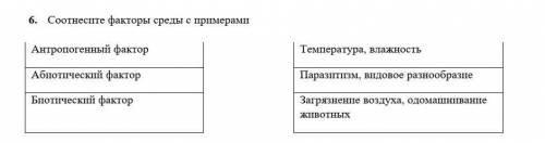 Соотнесите факторы среды с примерами ​