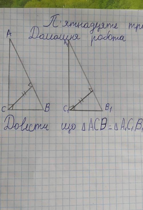 Довести рівнісь трикутників за двома кутами та вимотоюпроведеною з вершини третього кута​