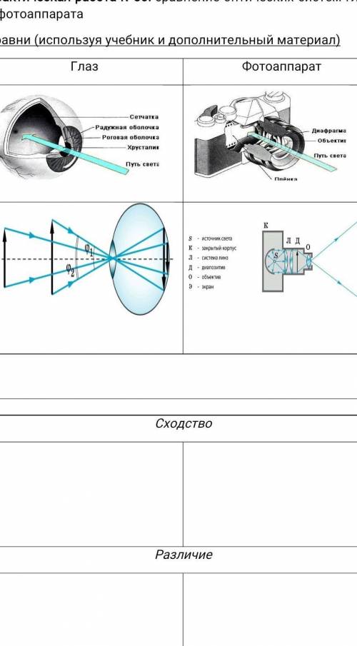 Сравнение оптических систем глаза и фотоаппарата Сравни (используя учебник и дополнительный материал