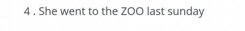 4.She went to the ZOO last Sunday​