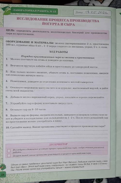 лабораторная работа 13, по биологии 7 класс. Исследование процесса производства йогурта и сыра. толь